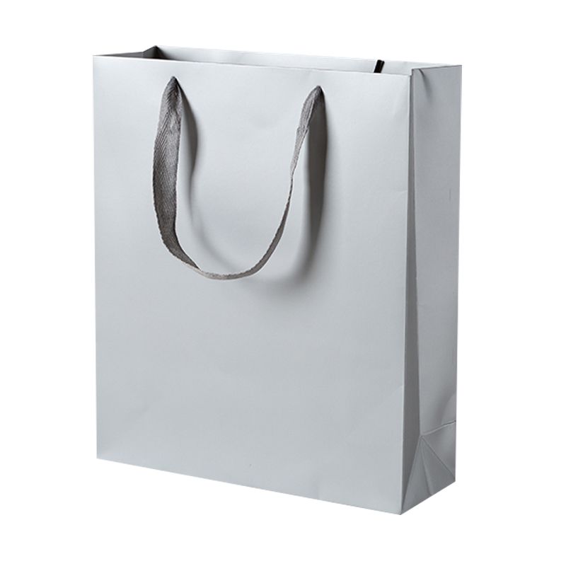Premium Paper Gift Bags (12 Pack) -M(20*9.5*28CM) - Silver