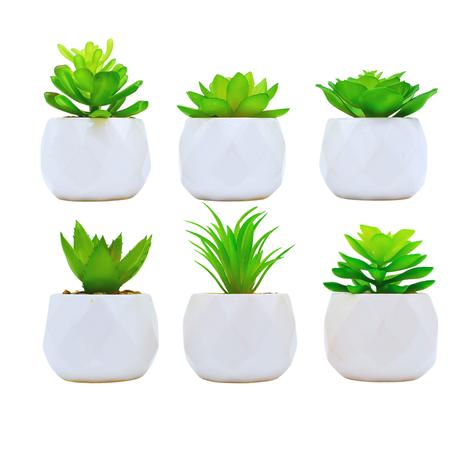 Hyper-Realistic Artificial Plants With Diamond Shaped Pots - 12 Pack